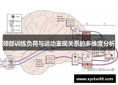颈部训练负荷与运动表现关系的多维度分析